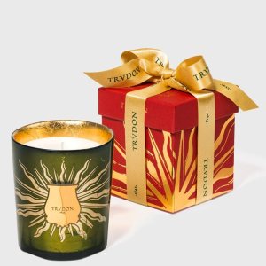 Cire Trudon Lucem Gabriel Ароматна свещ 270г